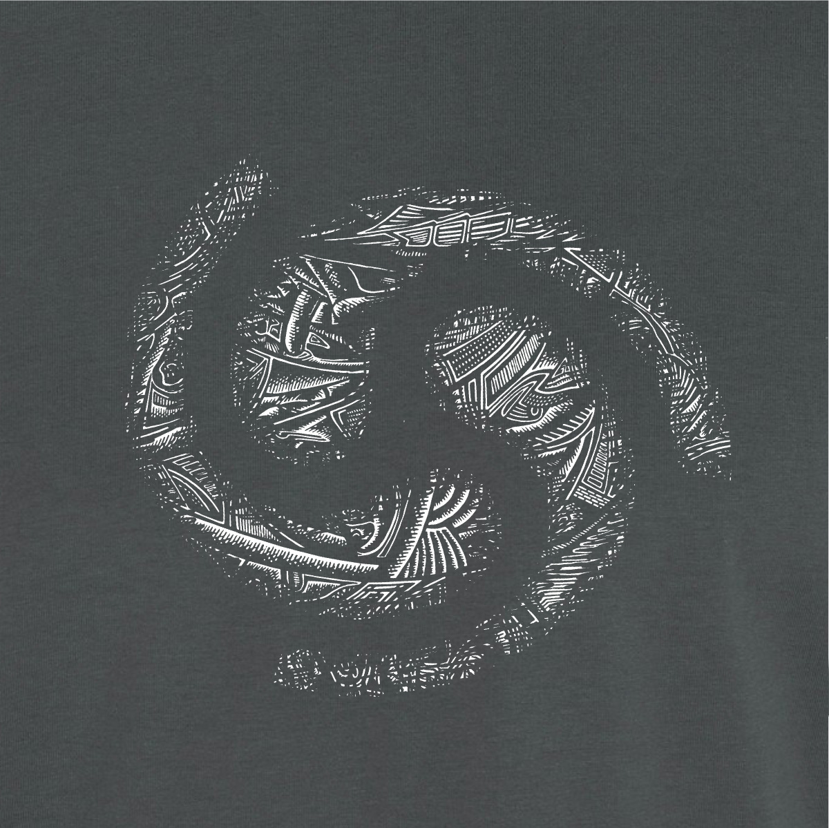 An Bíse Beg Organic T-Shirt