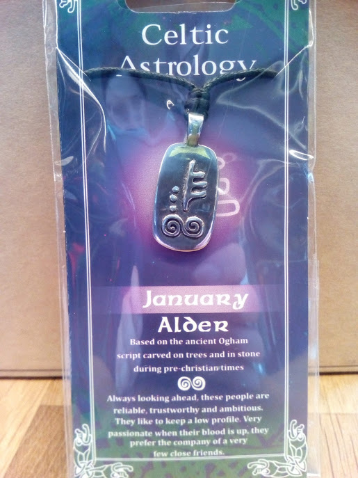 January Astrology Pendant
