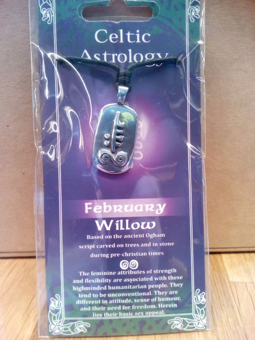 February Astrology Pendant