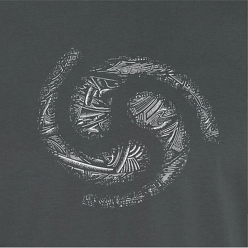 An Bíse Beg Organic T-Shirt