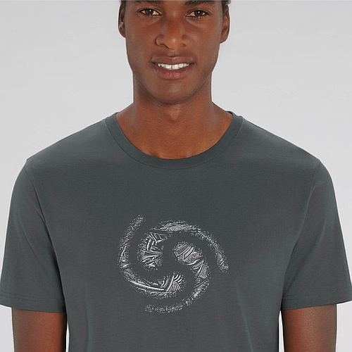 An Bíse Beg Organic T-Shirt